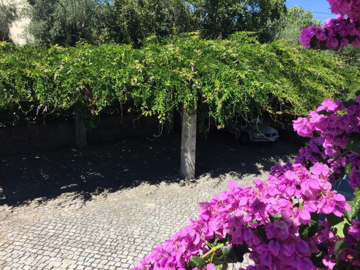 A Casa Da Celeste Fagilde المظهر الخارجي الصورة